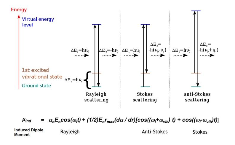 Core component 67.jpg