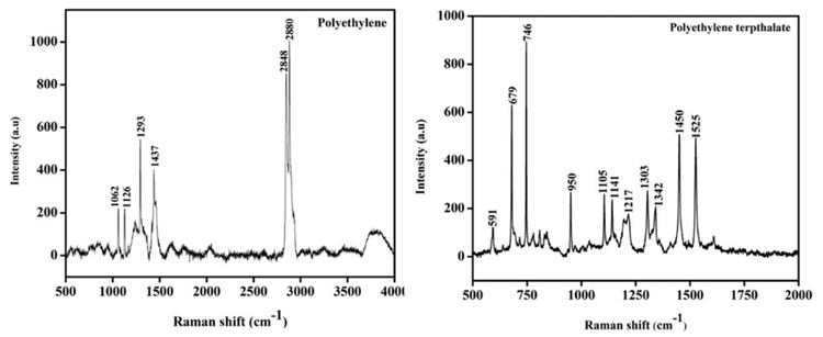 Microplastic Contamination Detection in Food Grains: A Raman ...