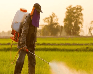 Pesticide