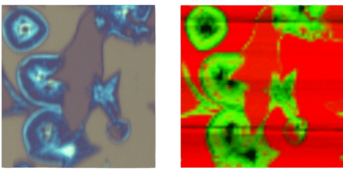 Confocal Raman Spectroscopy for Advanced Imaging