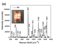 Identification of Microplastics Using Raman Spectroscopy | TechnoS ...