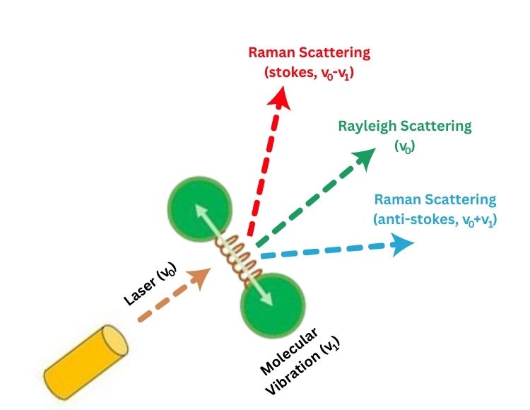 working of Raman.jpeg